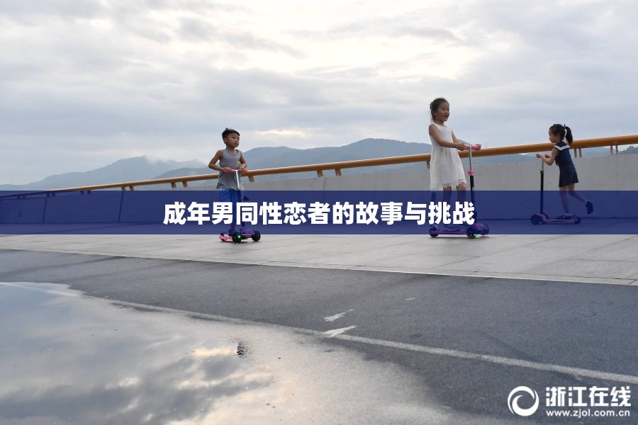 成年男同性恋者的故事与挑战