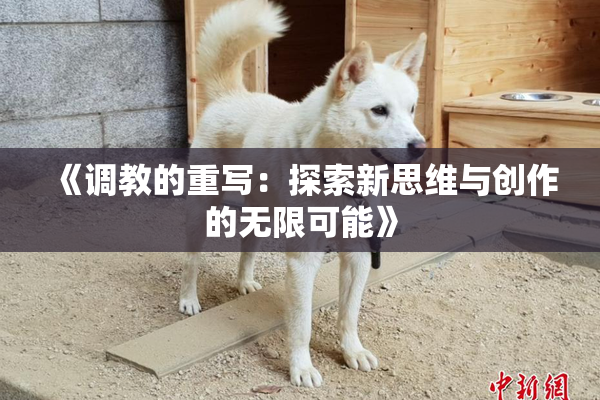 《调教的重写：探索新思维与创作的无限可能》