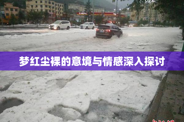 梦红尘裸的意境与情感深入探讨
