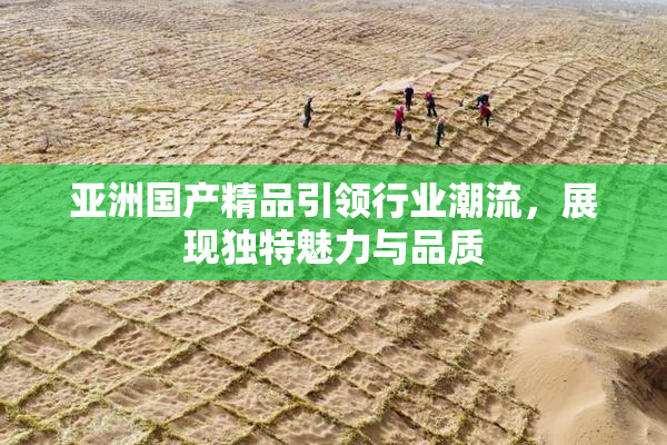亚洲国产精品引领行业潮流，展现独特魅力与品质