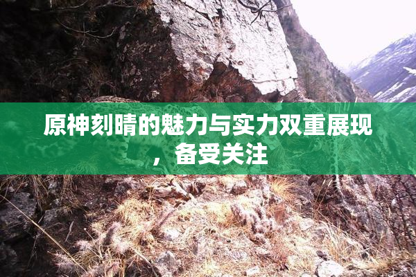 原神刻晴的魅力与实力双重展现，备受关注