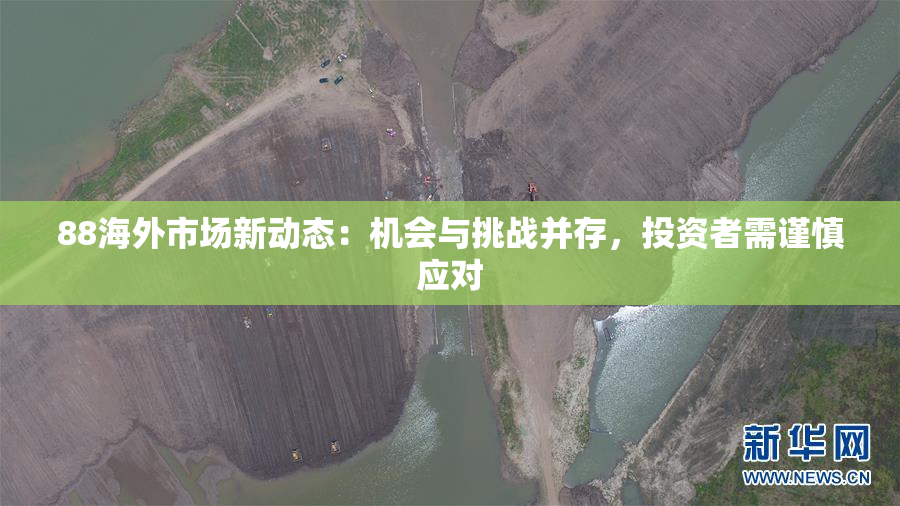 88海外市场新动态：机会与挑战并存，投资者需谨慎应对