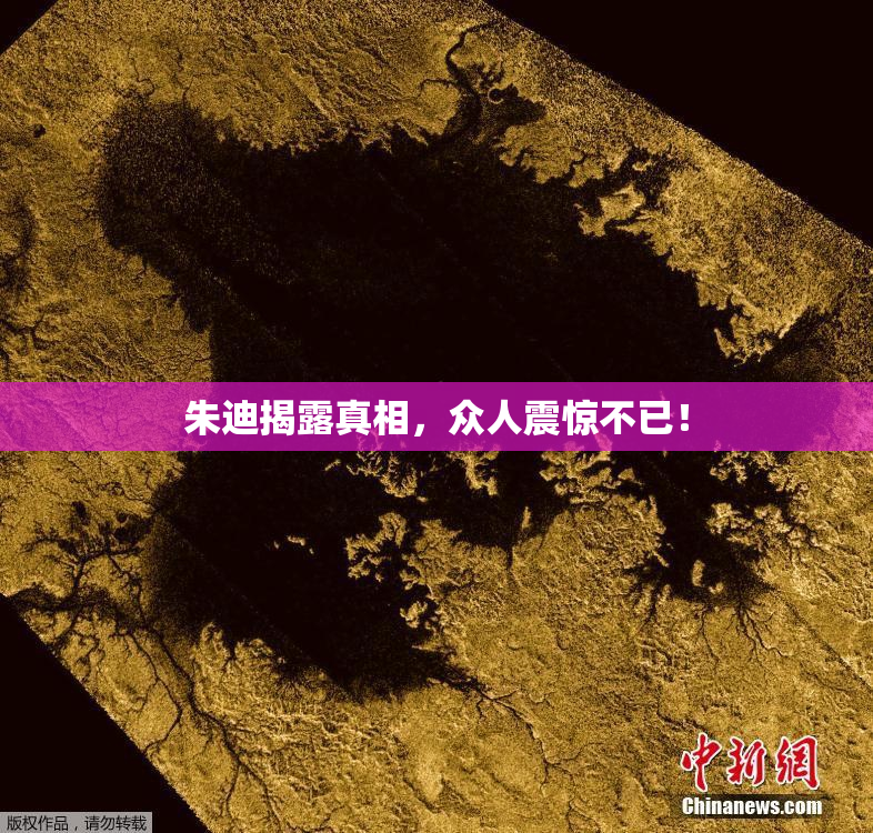 朱迪揭露真相，众人震惊不已！