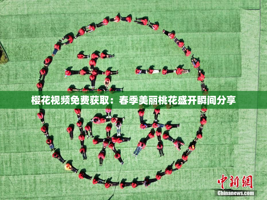 樱花视频免费获取：春季美丽桃花盛开瞬间分享