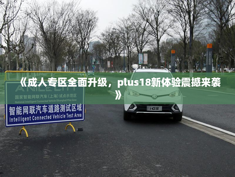 《成人专区全面升级，plus18新体验震撼来袭》