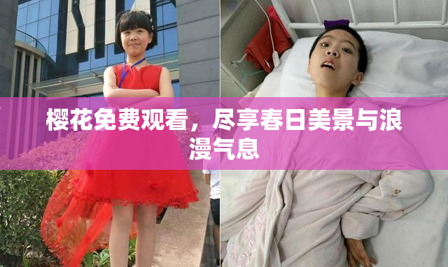 樱花免费观看，尽享春日美景与浪漫气息
