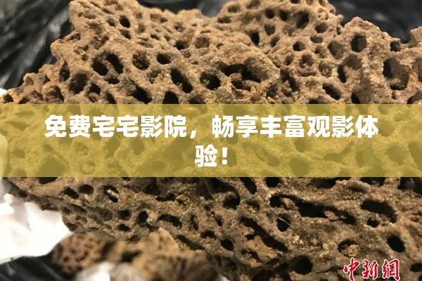 免费宅宅影院，畅享丰富观影体验！