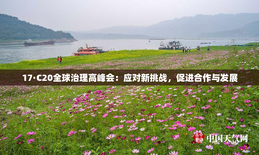 17·C20全球治理高峰会：应对新挑战，促进合作与发展
