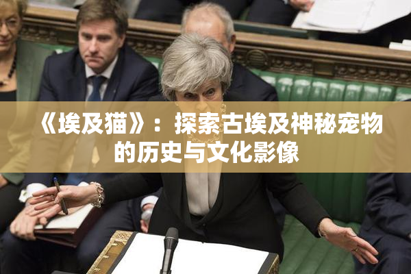 《埃及猫》：探索古埃及神秘宠物的历史与文化影像