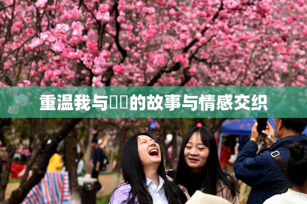 重温我与妺妺的故事与情感交织