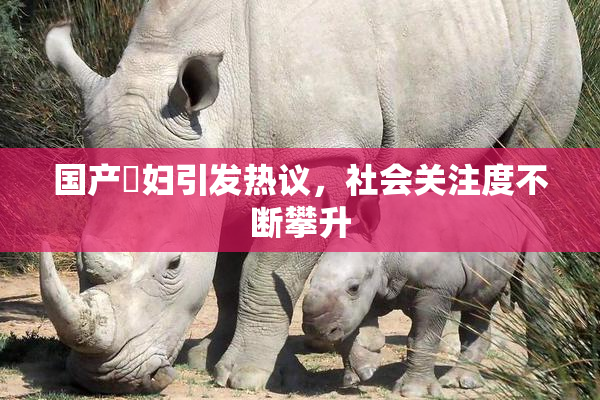 国产婬妇引发热议，社会关注度不断攀升