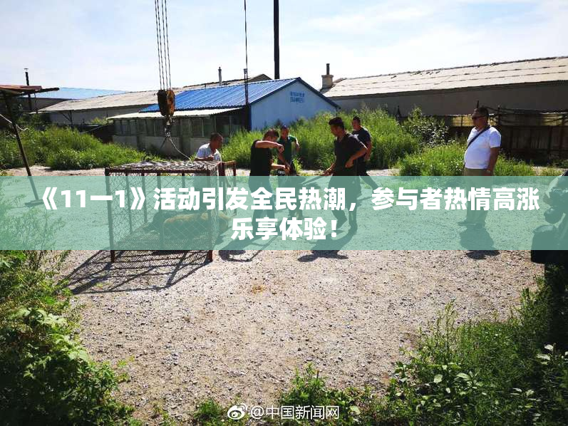 《11一1》活动引发全民热潮，参与者热情高涨乐享体验！