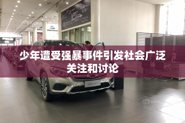少年遭受强暴事件引发社会广泛关注和讨论