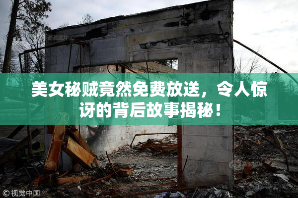 美女秘贼竟然免费放送，令人惊讶的背后故事揭秘！