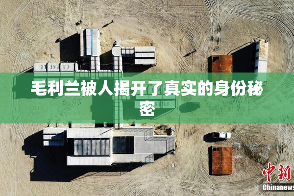 毛利兰被人揭开了真实的身份秘密