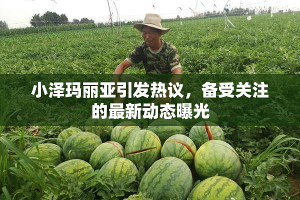 小泽玛丽亚引发热议，备受关注的最新动态曝光
