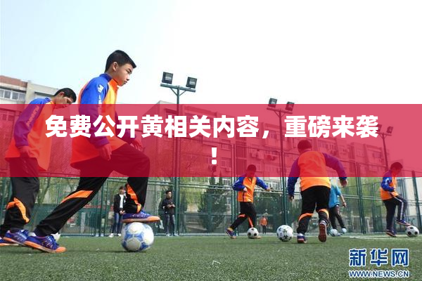 免费公开黄相关内容，重磅来袭！