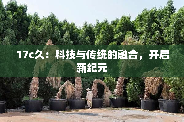 17c久：科技与传统的融合，开启新纪元
