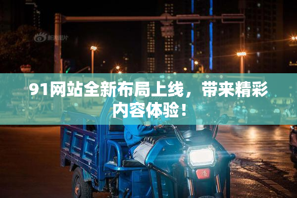91网站全新布局上线，带来精彩内容体验！