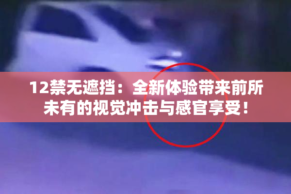 12禁无遮挡：全新体验带来前所未有的视觉冲击与感官享受！