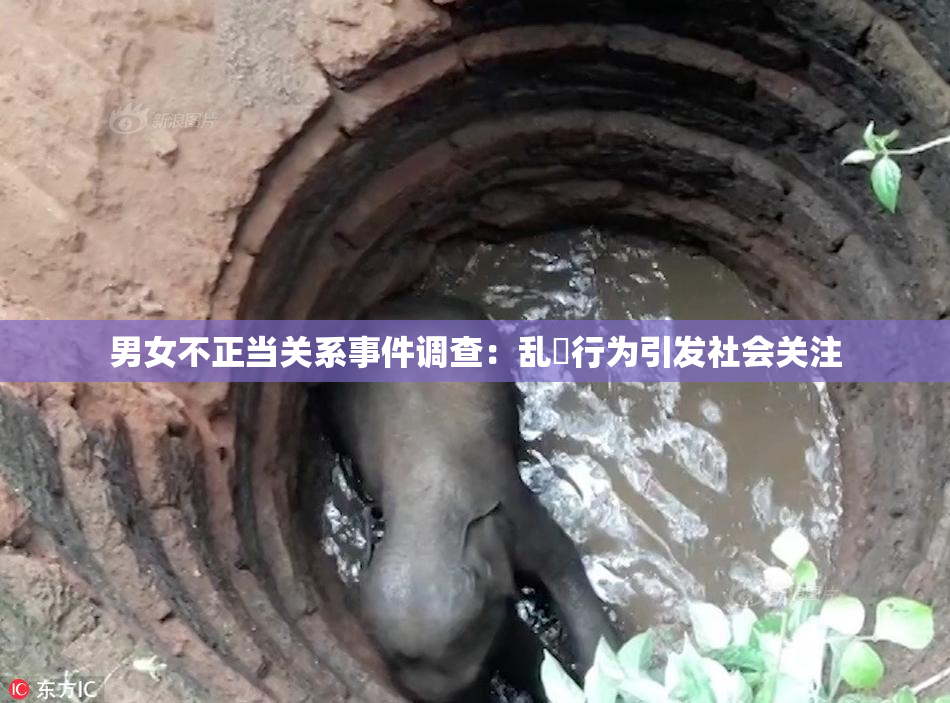 男女不正当关系事件调查：乱婬行为引发社会关注