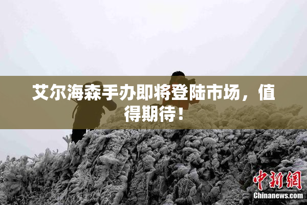 艾尔海森手办即将登陆市场，值得期待！