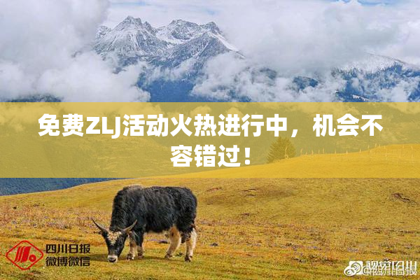 免费ZLJ活动火热进行中，机会不容错过！