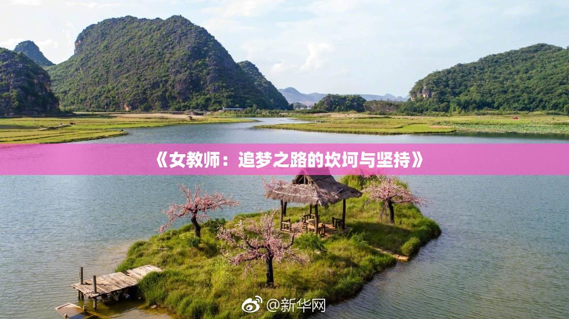 《女教师：追梦之路的坎坷与坚持》