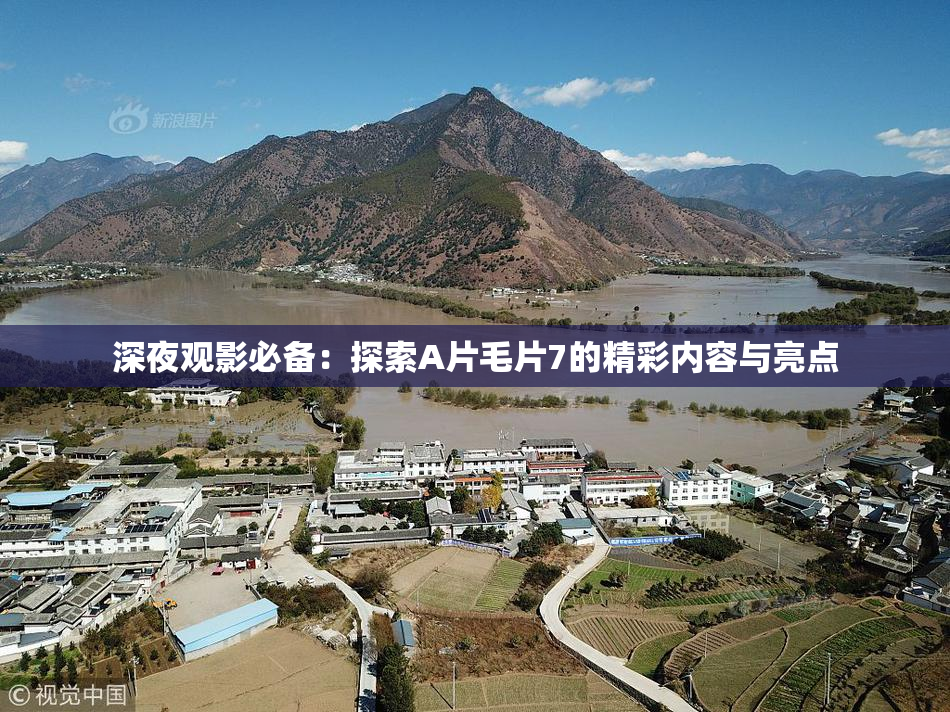 深夜观影必备：探索A片毛片7的精彩内容与亮点