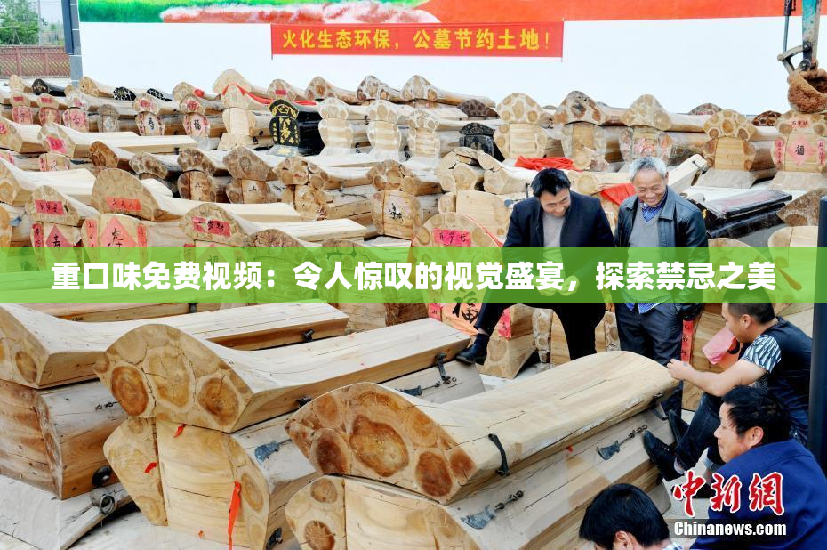 重口味免费视频：令人惊叹的视觉盛宴，探索禁忌之美