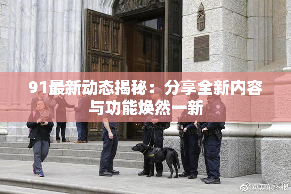 91最新动态揭秘：分享全新内容与功能焕然一新