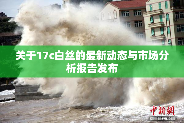 关于17c白丝的最新动态与市场分析报告发布