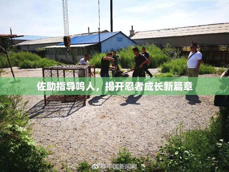 佐助指导鸣人，揭开忍者成长新篇章
