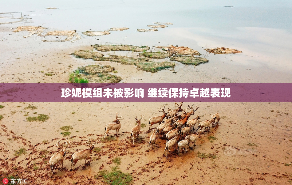 珍妮模组未被影响 继续保持卓越表现