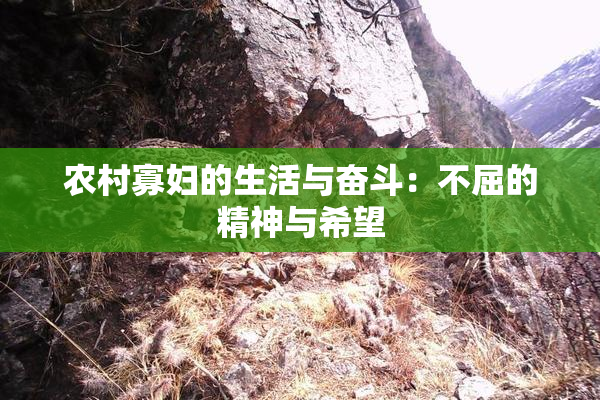 农村寡妇的生活与奋斗：不屈的精神与希望