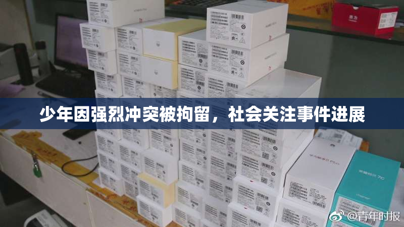 少年因强烈冲突被拘留，社会关注事件进展