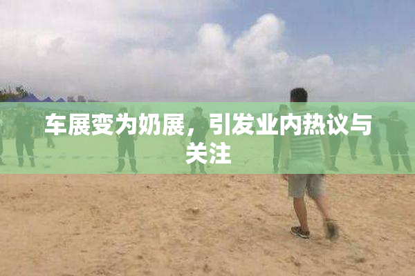 车展变为奶展，引发业内热议与关注