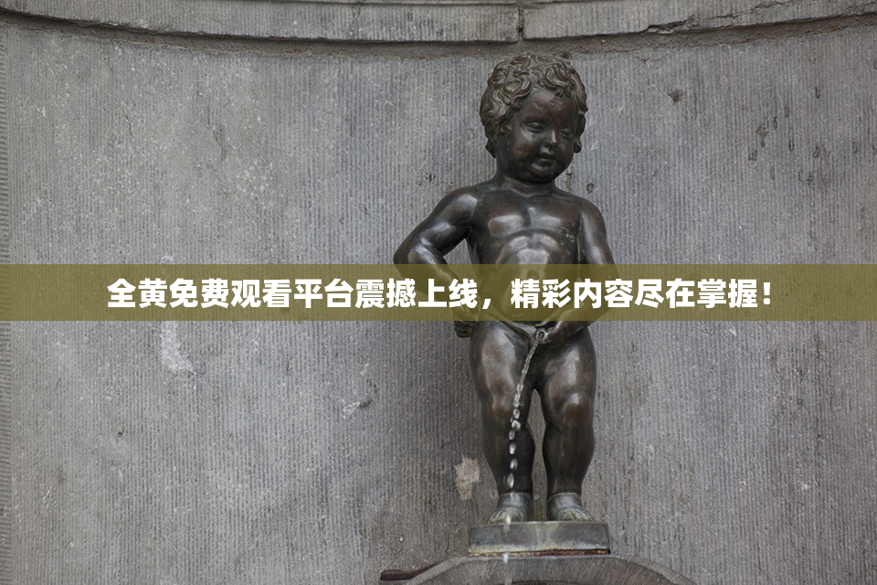 全黄免费观看平台震撼上线，精彩内容尽在掌握！