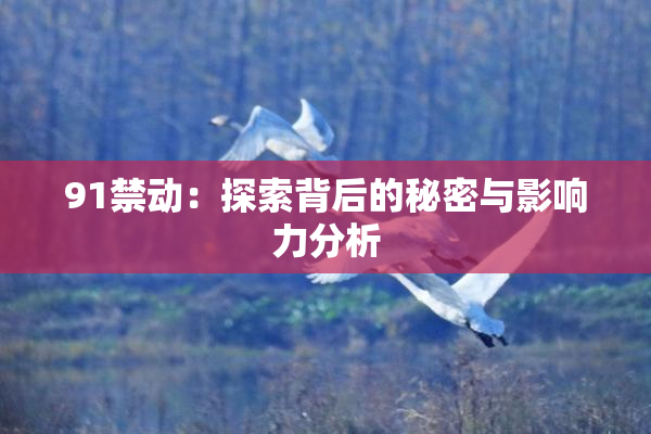 91禁动：探索背后的秘密与影响力分析