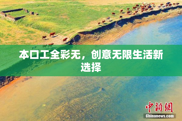 本口工全彩无，创意无限生活新选择