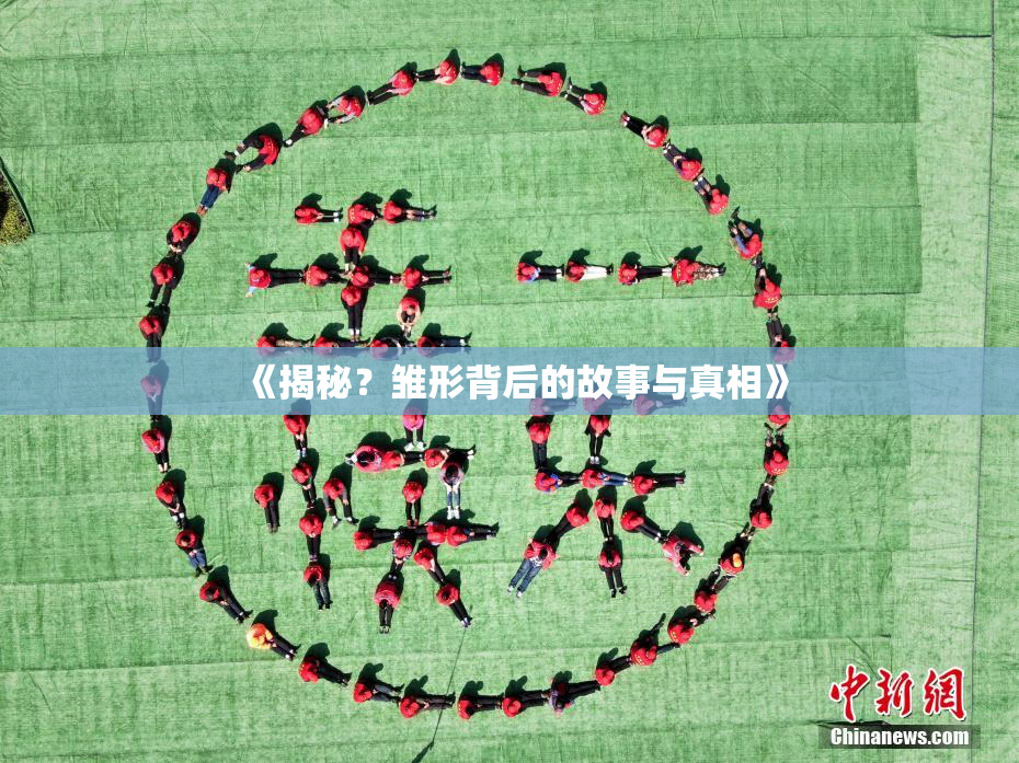 《揭秘？雏形背后的故事与真相》