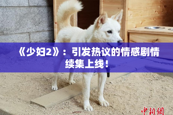 《少妇2》：引发热议的情感剧情续集上线！