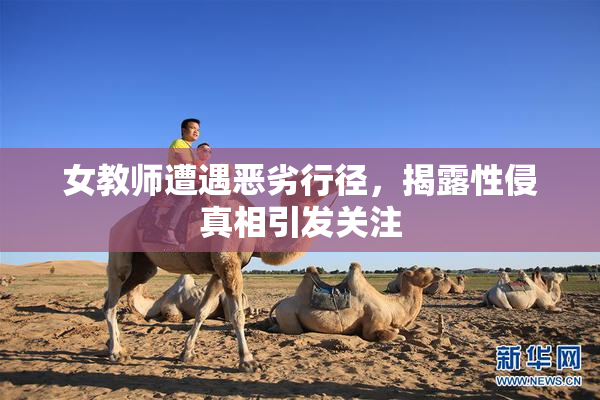 女教师遭遇恶劣行径，揭露性侵真相引发关注