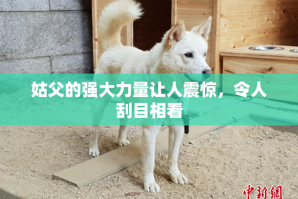 姑父的强大力量让人震惊，令人刮目相看