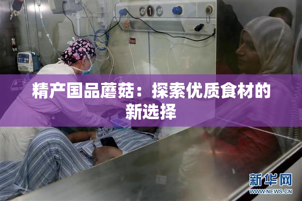 精产国品蘑菇：探索优质食材的新选择