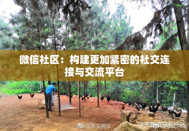 微信社区：构建更加紧密的社交连接与交流平台