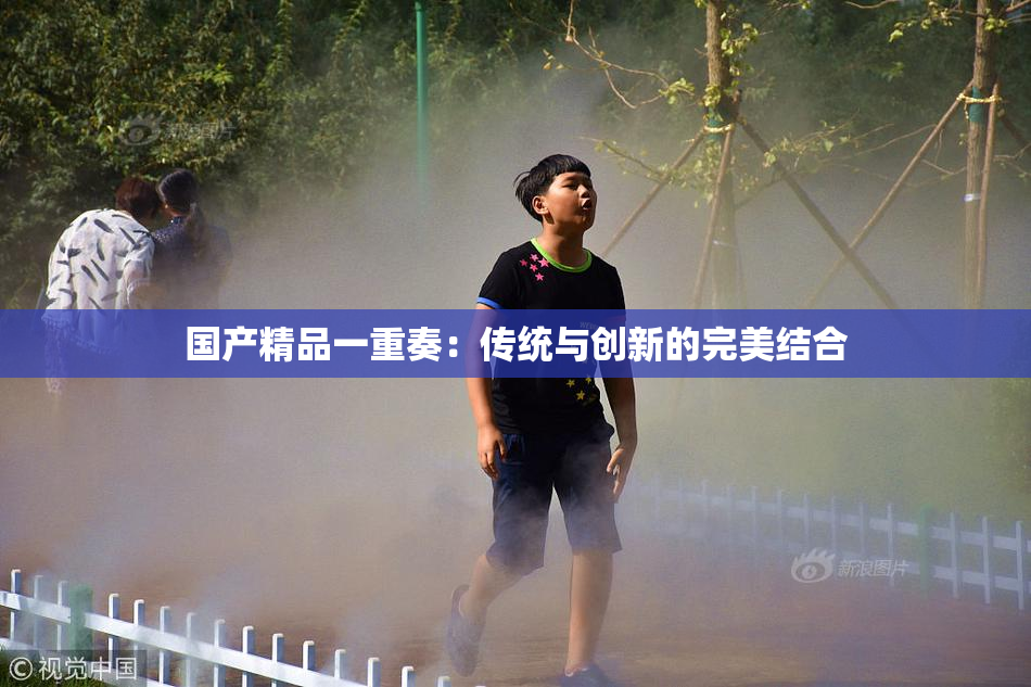 国产精品一重奏：传统与创新的完美结合
