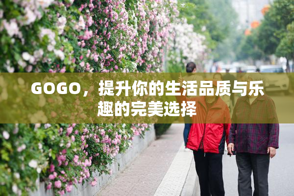 GOGO，提升你的生活品质与乐趣的完美选择