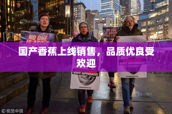 国产香蕉上线销售，品质优良受欢迎