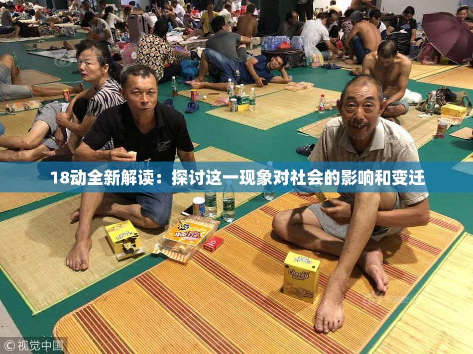 18动全新解读：探讨这一现象对社会的影响和变迁